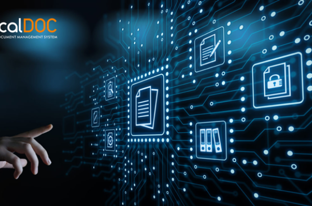 Sistema di gestione dei documenti online DMS Business Internet Technology